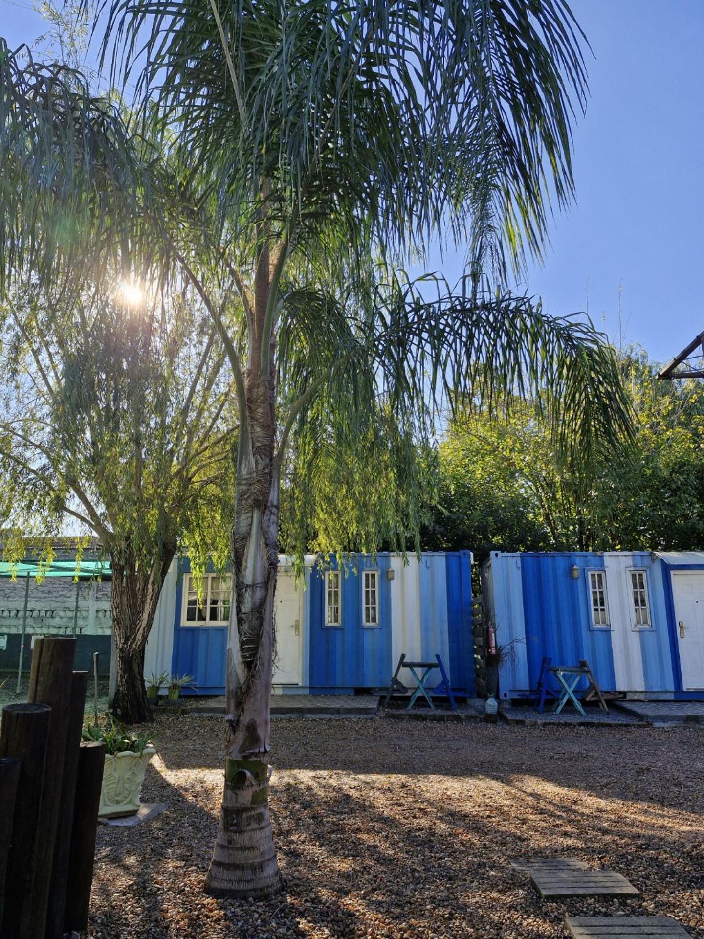 Squania Suite Container&Monoambientes Termas del Daymán Esterno foto
